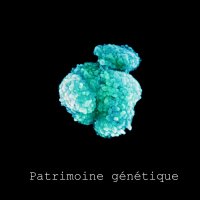 patrimoinegenetique